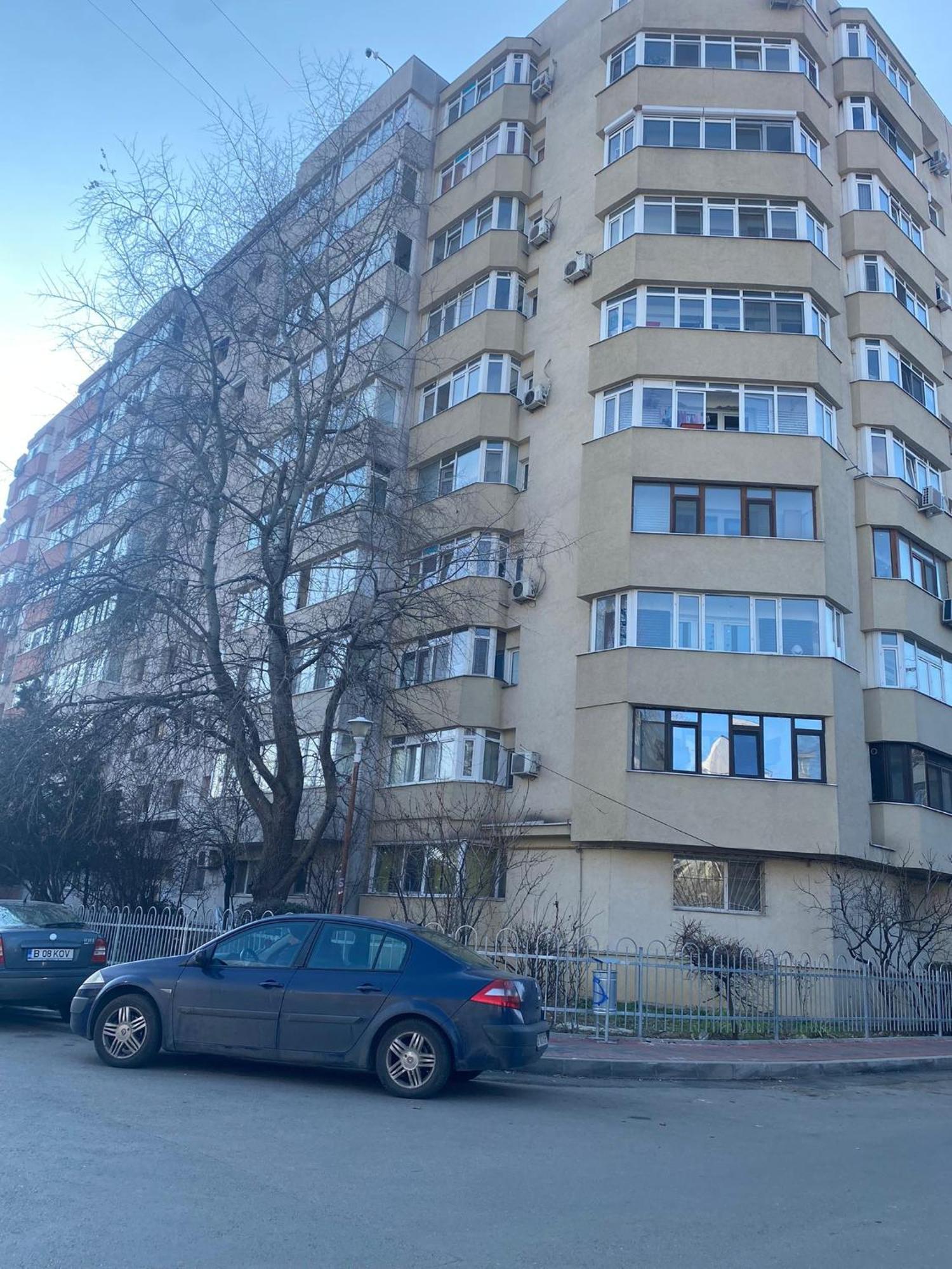 Modern Vitan-mihai Bravu *